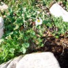 2012.01.21. - Golden Beach, Hegyek